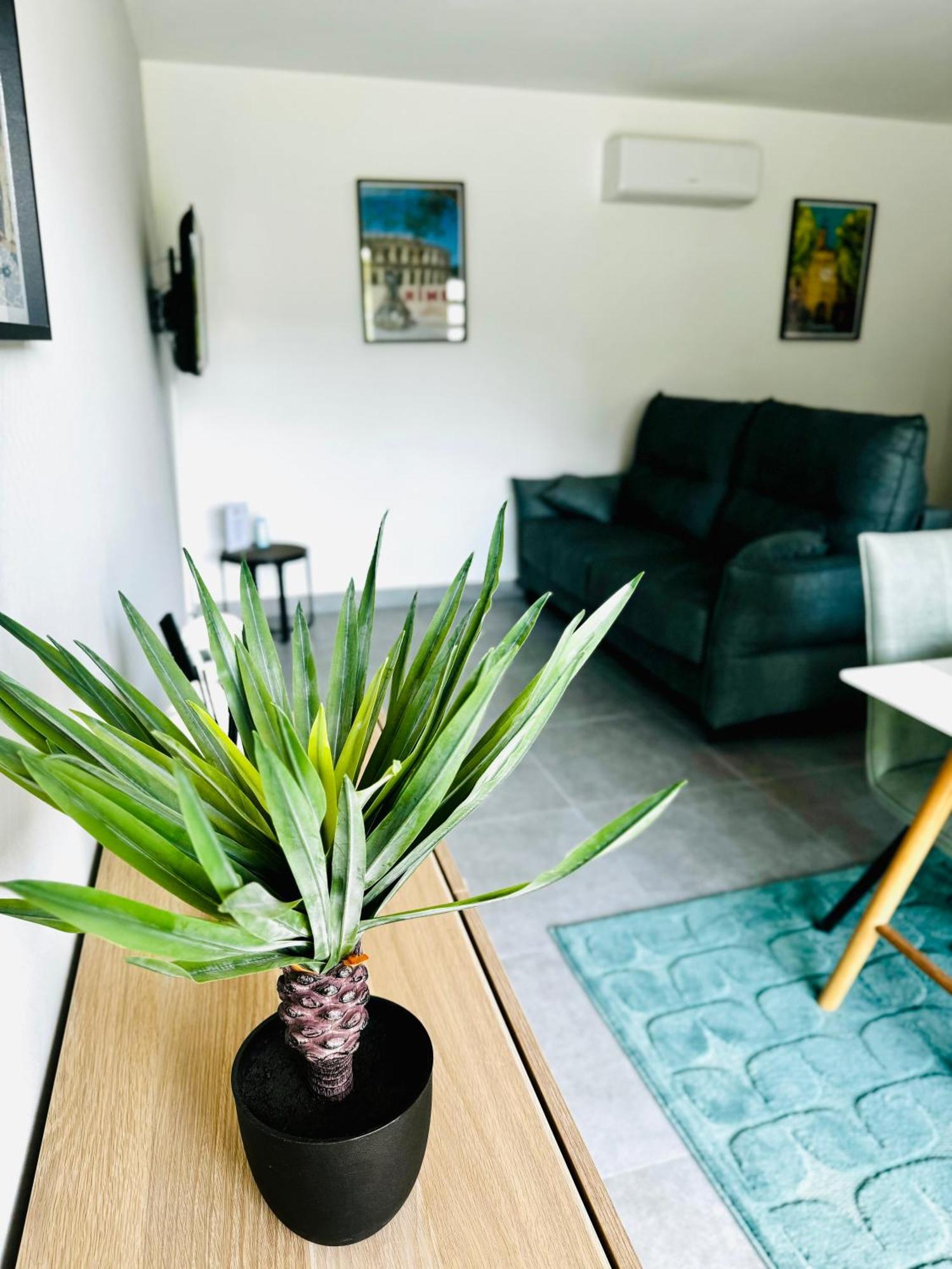 Logis Dans Ancien Relais De Poste Apartment Saint Julien Les Rosiers